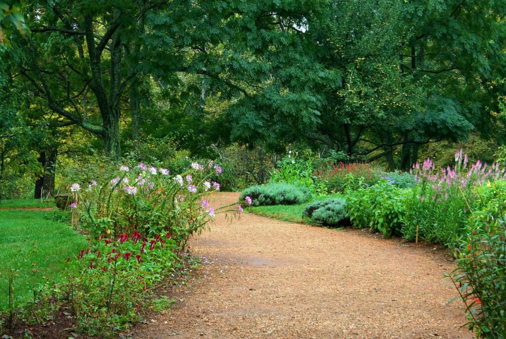 Een tuinpad vol onkruid